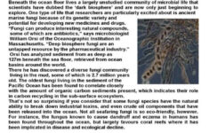 Grade 8 Reading Comprehension Worksheet Marine Fungi From Discover with Reading Comprehension Year 8 Worksheets