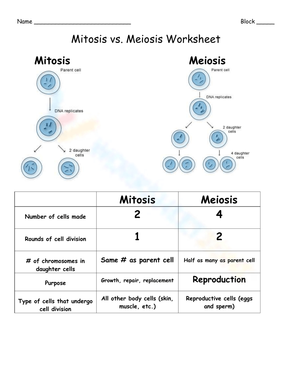 Grade 9 Easter - Mitosis Verses Meiosis Worksheets 2025 inside Cell Division Reading Comprehension Worksheet Mitosis And Meiosis Science