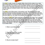 Human Body   Comprehension Reading Task   Esl Worksheetanusiarybek Regarding Reading Comprehension Worksheet Human Body