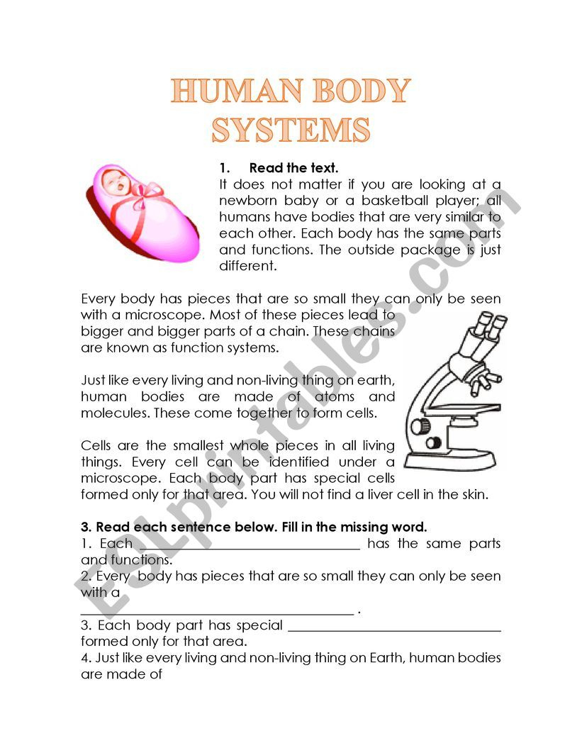 Human Body Systems Reading Comprehension - Esl Worksheetglomar for Reading Comprehension Worksheet Human Body