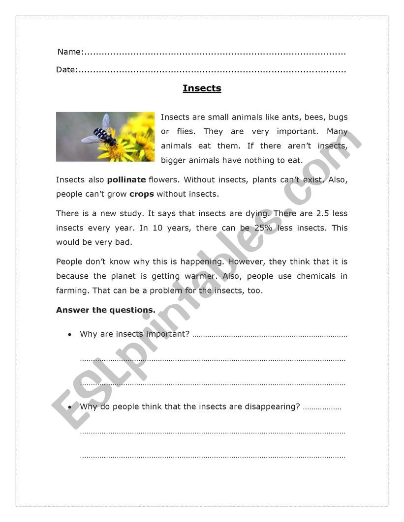 Insects Reading Comprehension - Esl Worksheetlcaste22 throughout Insect Reading Comprehension Worksheets