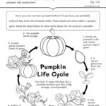 Life Cycles Worksheets | Workybooks Inside Science Reading Comprehension Worksheets 3rd Grade