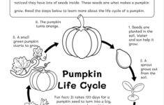Life Cycles Worksheets | Workybooks inside Science Reading Comprehension Worksheets 3rd Grade