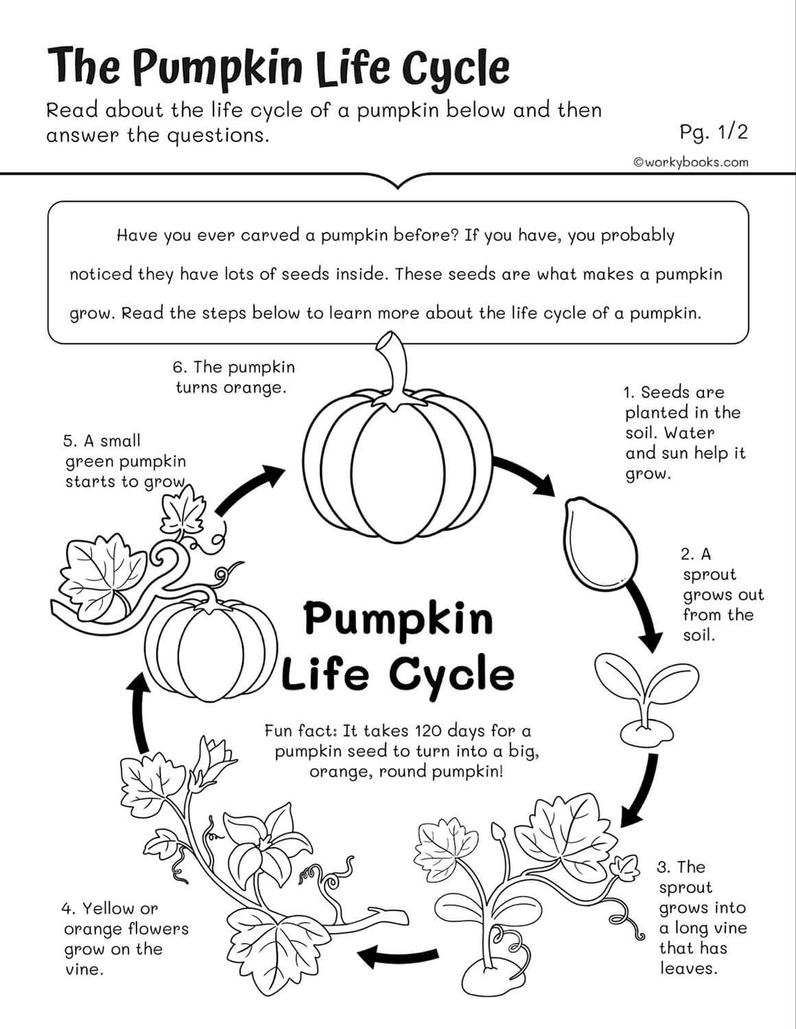 Life Cycles Worksheets | Workybooks inside Science Reading Comprehension Worksheets 3rd Grade