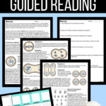Meiosis   Reading Comprehension Worksheets With Mitosis And Meiosis Reading Comprehension Worksheet
