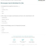 Microscopes: Quiz & Worksheet For Kids | Study Inside Microscope Reading Comprehension Worksheet Middle School