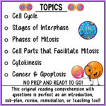 Mitosis Reading Comprehension And Questions   Classful Regarding Cell Division Reading Comprehension Worksheet Mitosis And Meiosis Science