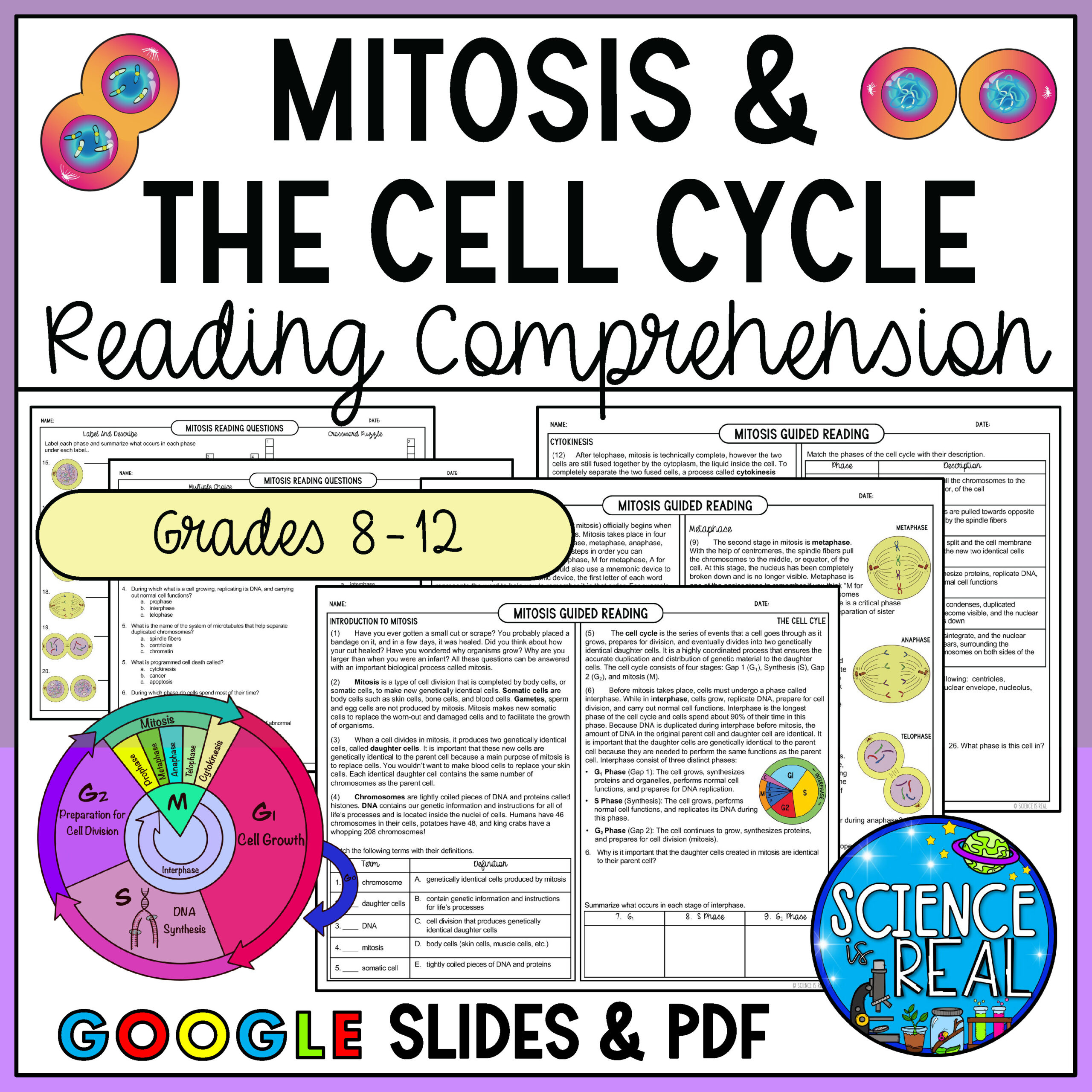 Mitosis Reading Comprehension And Questions - Classful within Cell Cycle Reading Comprehension Worksheet