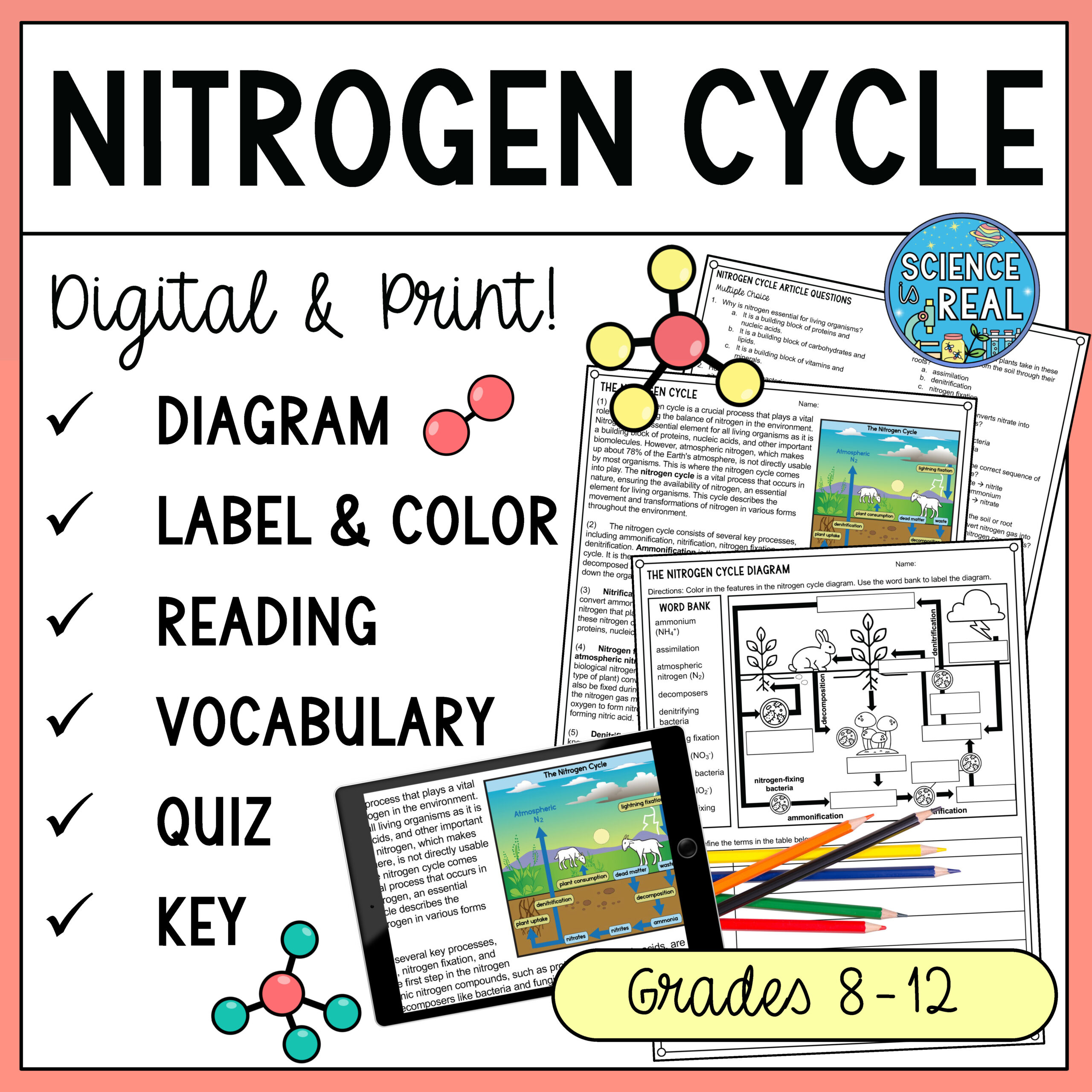 Nitrogen Cycle Diagram, Reading Comprehension, And Questions pertaining to Nitrogen Cycle Reading Comprehension Worksheet