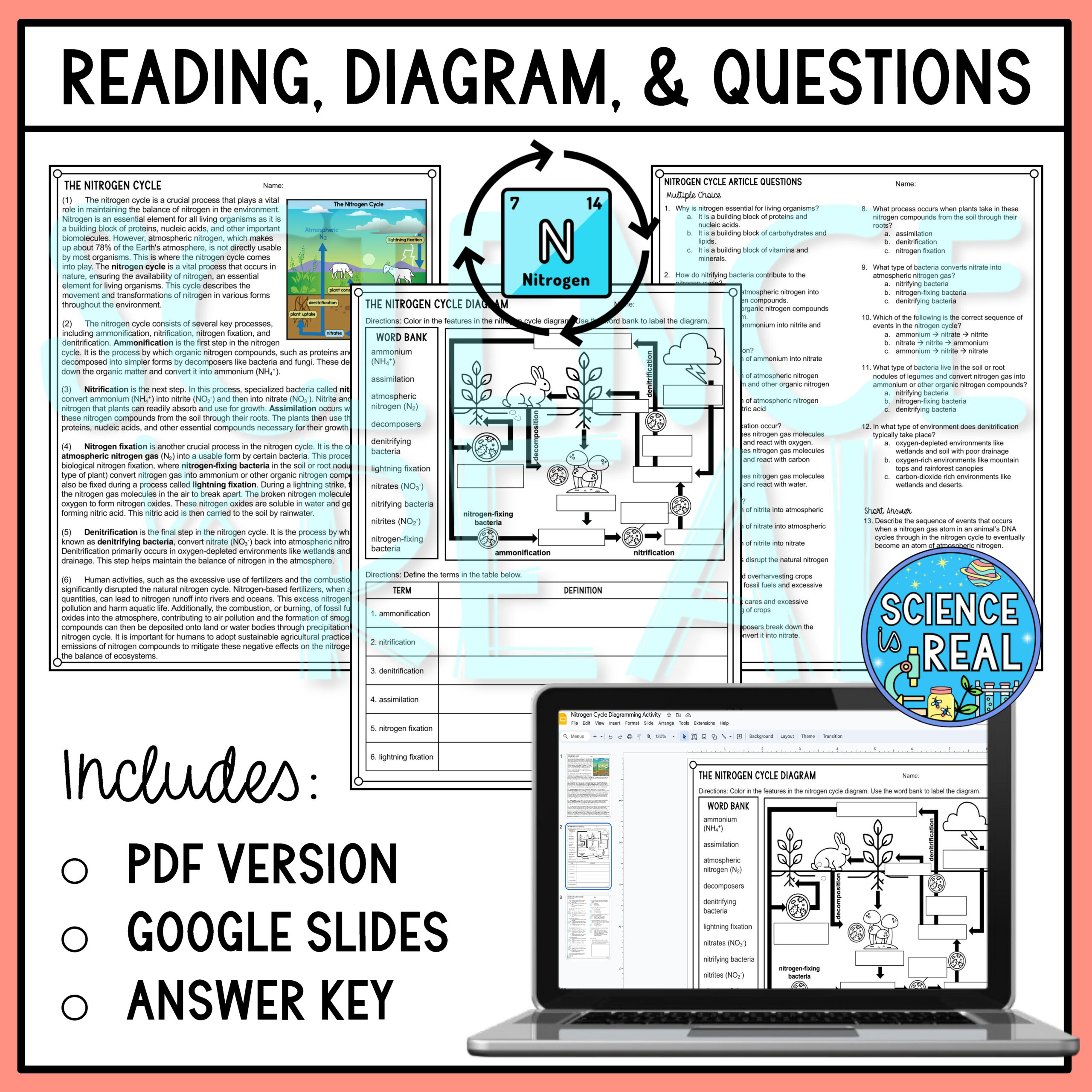 Nitrogen Cycle Diagram, Reading Comprehension, And Questions with Nitrogen Cycle Reading Comprehension Worksheet
