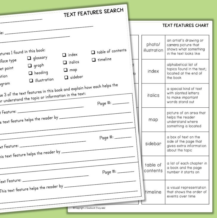 Text Features Reading Comprehension Worksheet