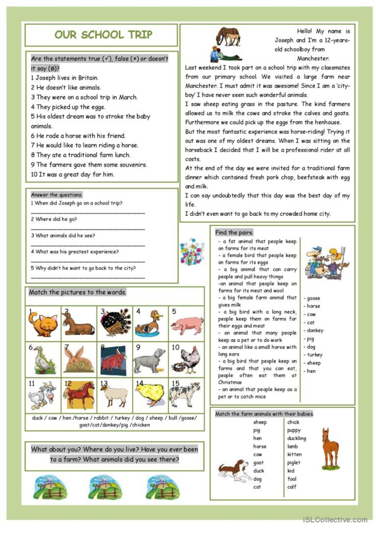 Our School Trip (Farm Animals) Readi…: English Esl Worksheets Pdf in Animal Farm Reading Comprehension Worksheets Pre-Primary