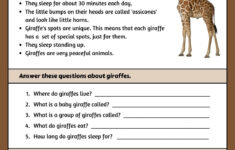 Page 5 - Free Custom Printable Animal Worksheet Templates | Canva for Free Printable Animal Comprehension Worksheets