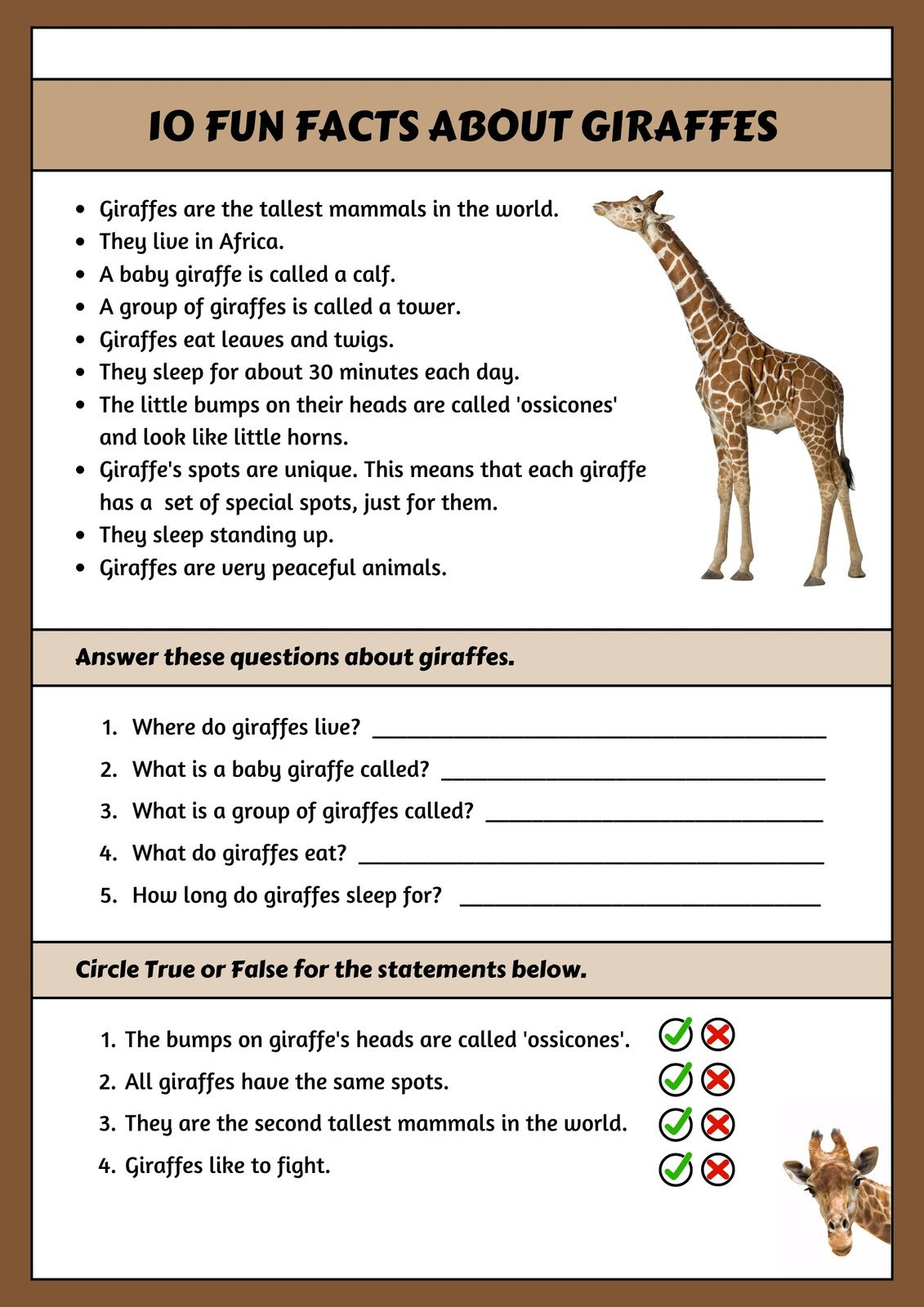 Page 5 - Free Custom Printable Animal Worksheet Templates | Canva for Free Printable Animal Comprehension Worksheets