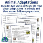 Plant And Animal Adaptations Reading And Worksheet   Flying Colors Pertaining To Animal Adaptations Reading Comprehension Worksheets