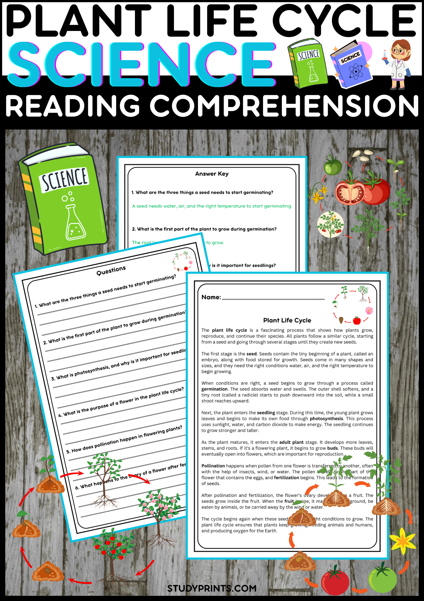 Plant Life Cycle Reading Passage With Comprehension Questions for Plant Life Cycle Reading Comprehension Worksheet