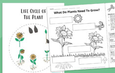 Plant Life Cycle Worksheet Bundle (Free Printables) with regard to Plant Life Cycle Reading Comprehension Worksheet