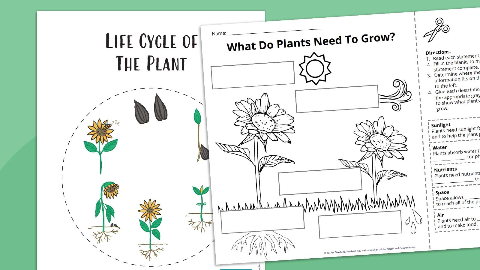 Plant Life Cycle Worksheet Bundle (Free Printables) with regard to Plant Life Cycle Reading Comprehension Worksheet