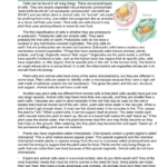 Plant Vs. Animal Cells Worksheet: Structure & Function For Plant Cells Reading Comprehension Worksheet