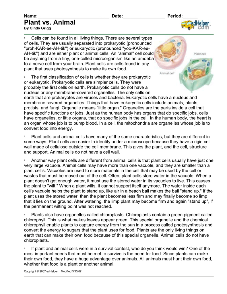 Plant Vs. Animal Cells Worksheet: Structure &amp;amp; Function for Plant Cells Reading Comprehension Worksheet