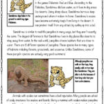 Pokemon: Discover 12 Pokémon Reading Comprehension Ideas On This Throughout Pokemon Reading Worksheets