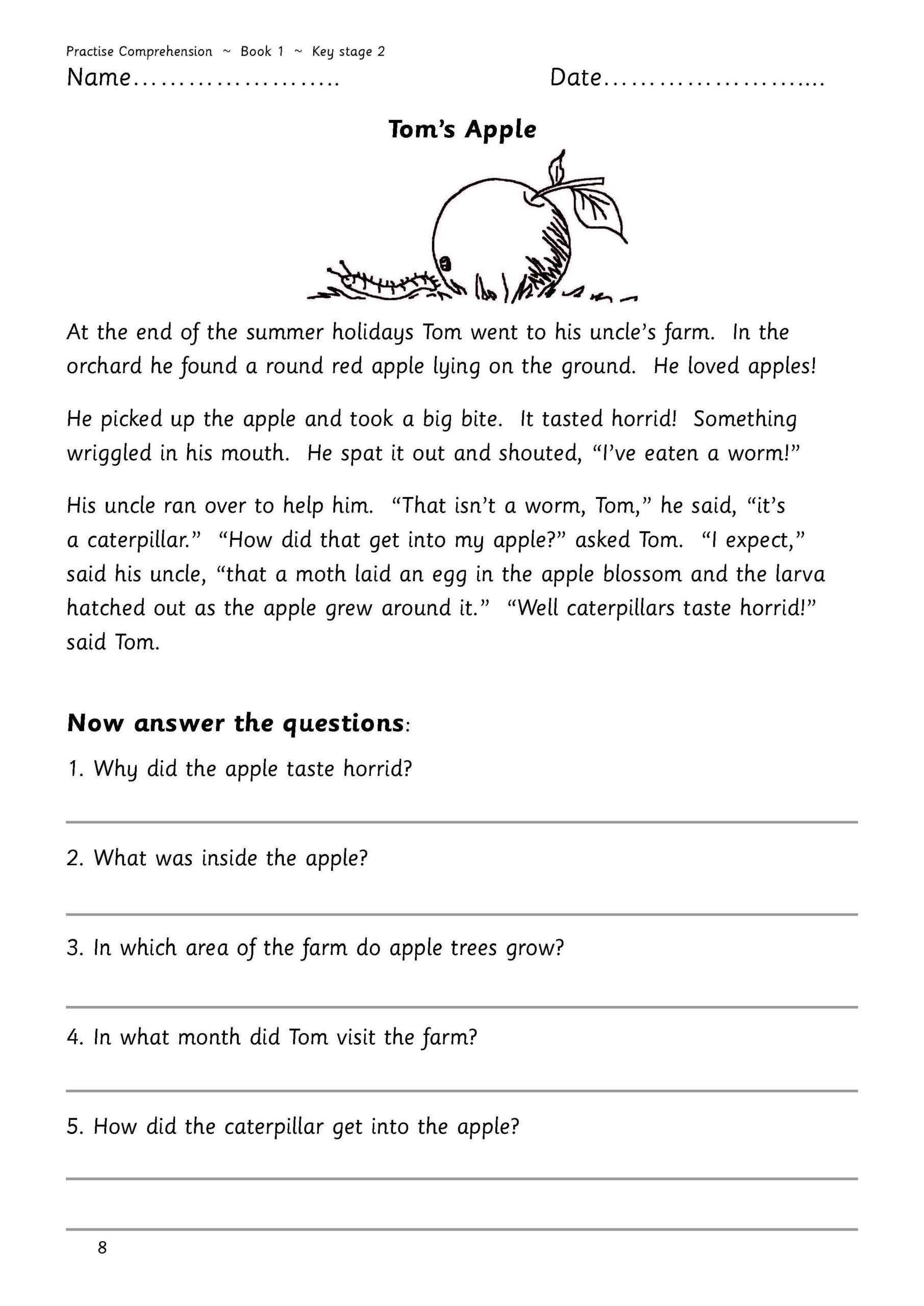 Practise Comprehension: Book 1 in Ks1 Comprehension Worksheets