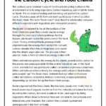 Printable Grade 6 The Carbon Cycle Worksheets Download Pertaining To Carbon Cycle Reading Comprehension Worksheet