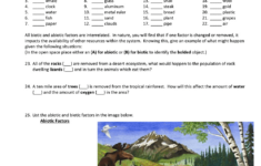 Printable Grade 8 Abiotic Vs Biotic Factors Worksheets Download for Abiotic and Biotic Factors Reading Comprehension Worksheets