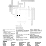 Protein Synthesis Crossword   Wordmint With Protein Synthesis Reading Comprehension Worksheet