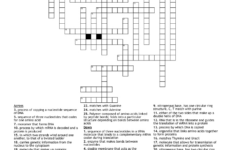 Protein Synthesis Crossword - Wordmint with Protein Synthesis Reading Comprehension Worksheet