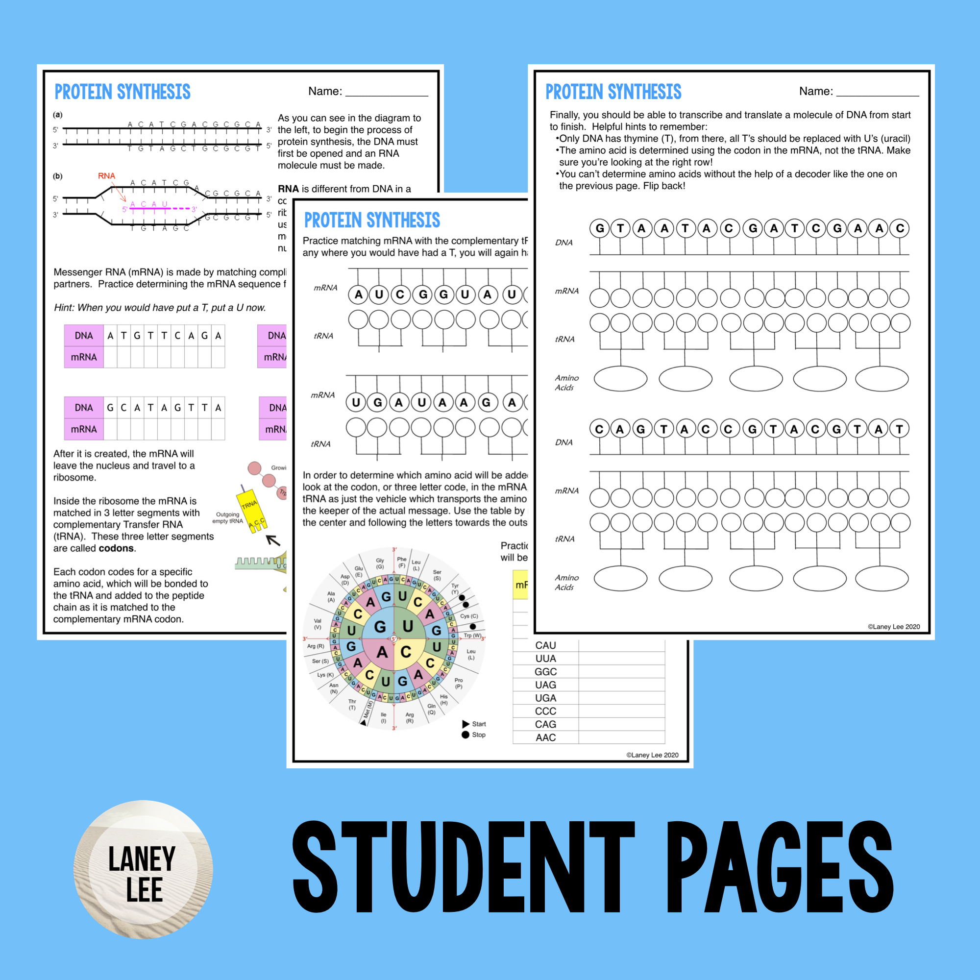 Protein Synthesis Guided Practice Worksheet - Pdf &amp;amp; Digital regarding Protein Synthesis Reading Comprehension Worksheet