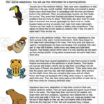 Rainforest Animals Adaptations And Habitat Worksheets Within Animal Adaptations Reading Comprehension Worksheets