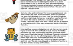 Rainforest Animals Adaptations And Habitat Worksheets within Animal Adaptations Reading Comprehension Worksheets