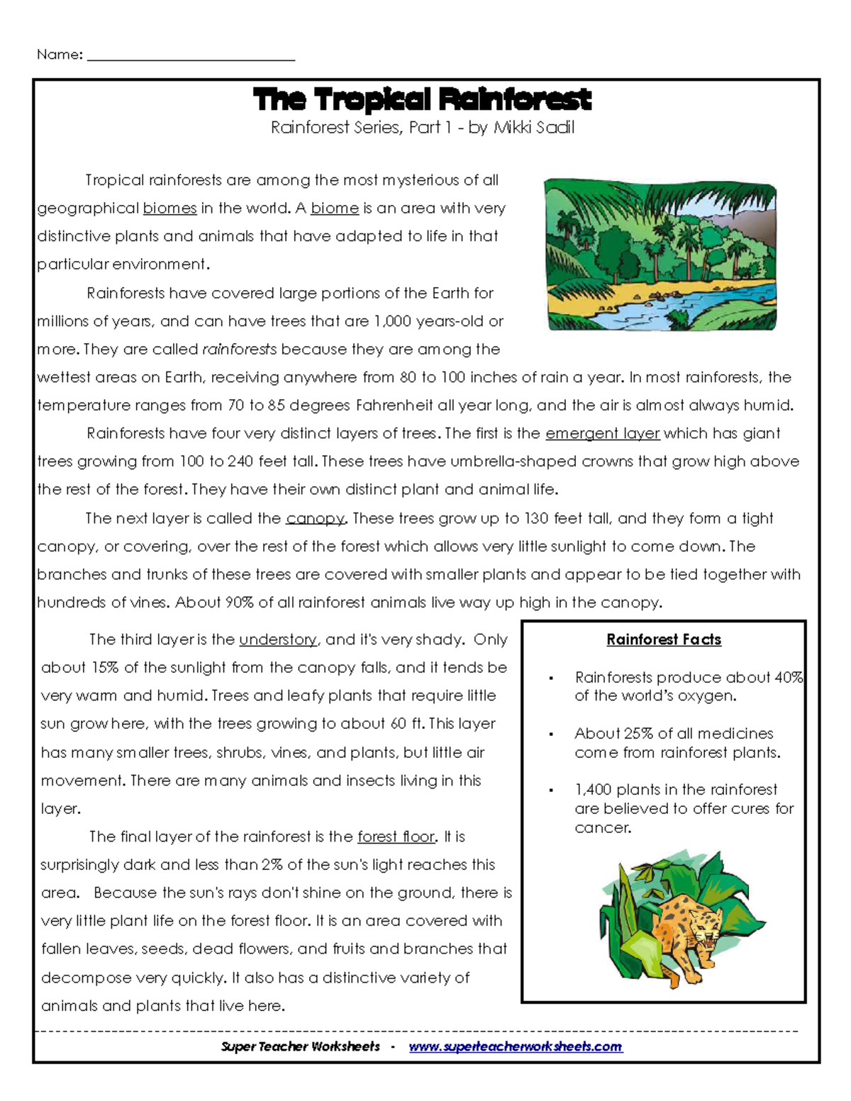 Rainforest Comprehension - The Tropical Rainforest Rainforest regarding Rainforest Reading Comprehension Worksheets