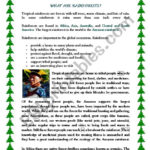 Rainforests  Reading Comprehension   Esl Worksheet1961Anucha With Regard To Rainforest Reading Comprehension Worksheets
