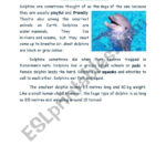 Reading Comprehension: All About Dolphin   Esl Worksheetnourkhayr With Regard To Dolphin Reading Comprehension Worksheets