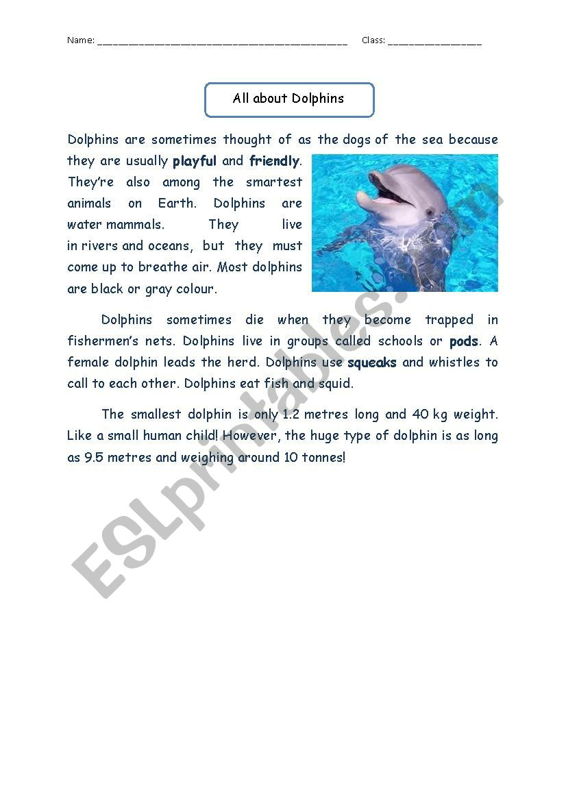Reading Comprehension: All About Dolphin - Esl Worksheetnourkhayr with regard to Dolphin Reading Comprehension Worksheets