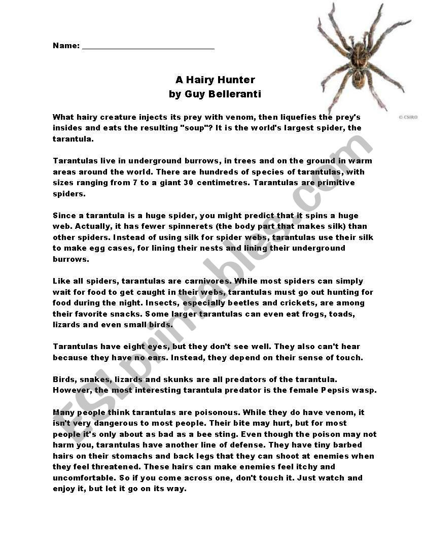Reading Comprehension - Spider - - Esl Worksheeteicristin within Spiders Esl Reading Comprehension Worksheets