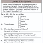 Reading Comprehension Within Spiders Reading Comprehension Worksheets Year 3