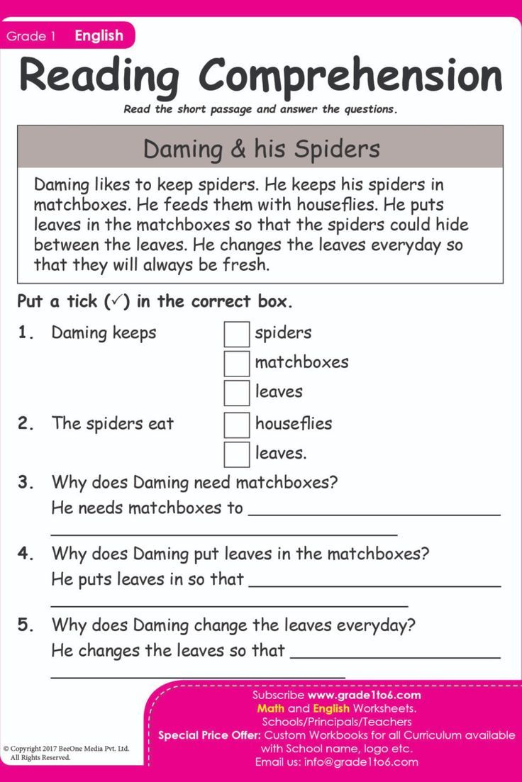Reading Comprehension within Spiders Reading Comprehension Worksheets Year 3