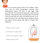 Reading Comprehension Worksheet For Grade 3   Kidpid Regarding Year 3 Comprehension Worksheets