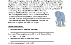 Reading Comprehension Worksheets: 21 Print Ideas To Save Today throughout Large Print Reading Comprehension Passages Worksheets