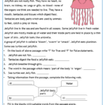 Reading Comprehension Worksheets In Grade 5 Reading Comprehension Worksheets With Multiple Choice