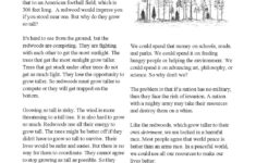 Reading Comprehension Worksheets | Online Or Printable for Grade 10 Comprehension Passages With Answers Worksheets