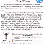 Reading Comprehension Worksheets   Whitney The Wonderful Blue With Regard To Wh Reading Comprehension Worksheet
