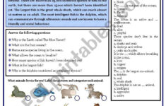 Reading: Sea Animals - Esl Worksheetdomnitza for Sea Animals Reading Comprehension Worksheets