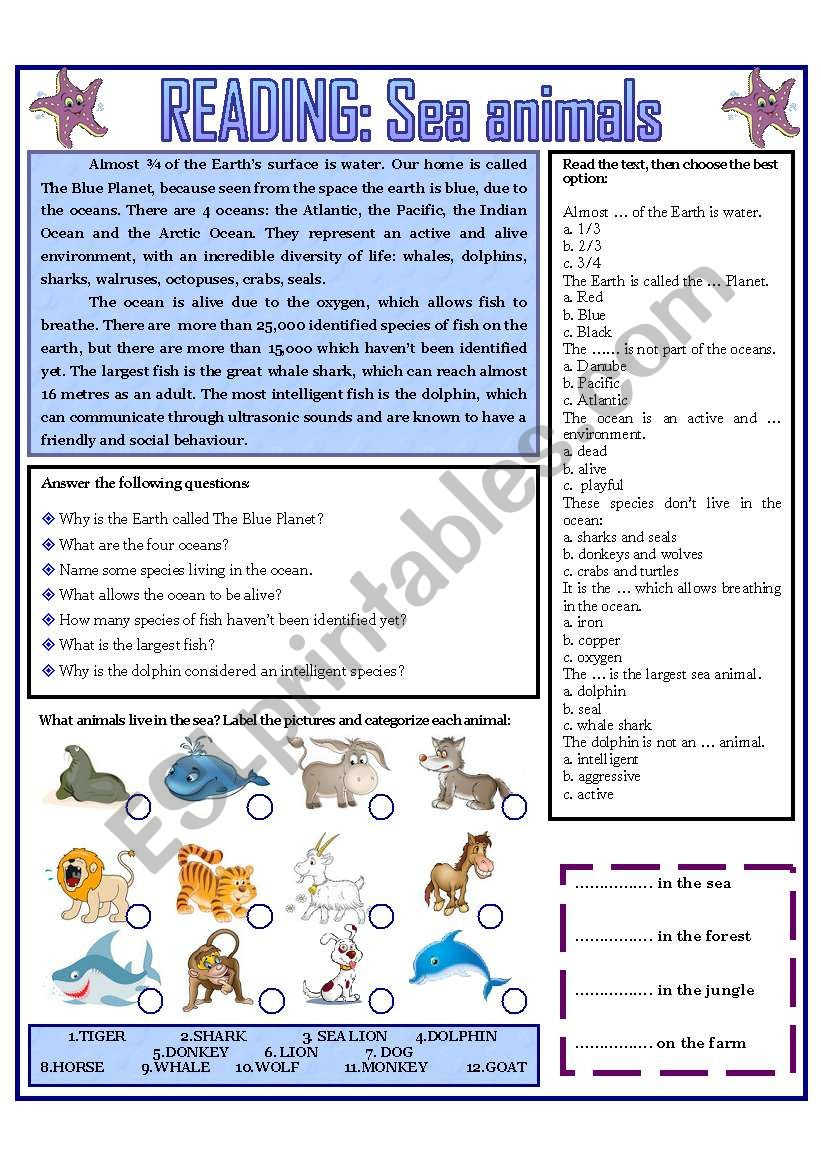 Reading: Sea Animals - Esl Worksheetdomnitza for Sea Animals Reading Comprehension Worksheets