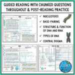 Rna And Dna Reading Comprehension And Worksheets   Classful Intended For Dna Reading Comprehension Worksheet