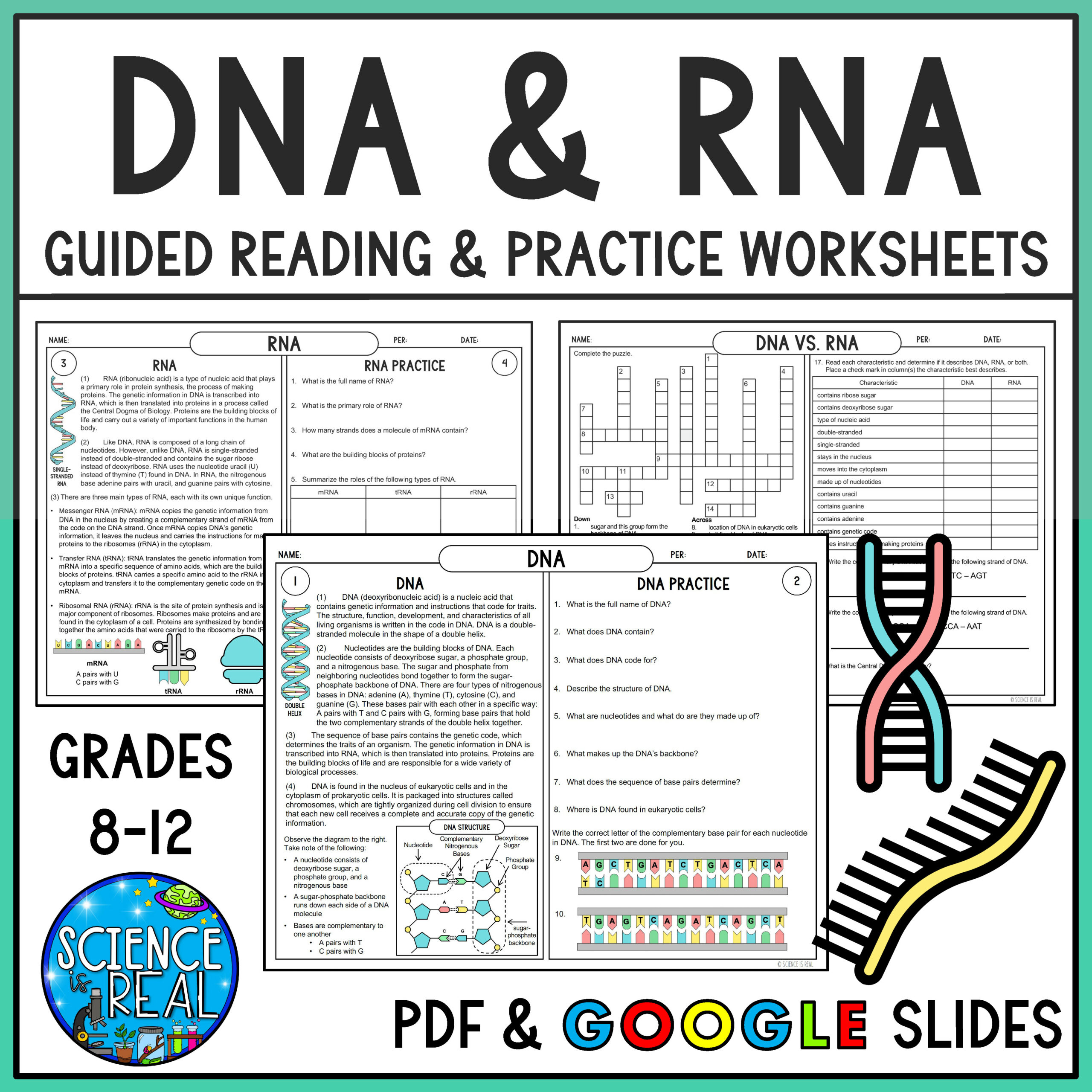 Rna And Dna Reading Comprehension And Worksheets - Classful pertaining to Protein Synthesis Reading Comprehension Worksheet