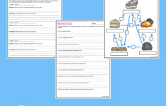 Rock Cycle - Reading Comprehension Worksheets - Laney Lee intended for Rock Cycle Reading Comprehension Worksheet